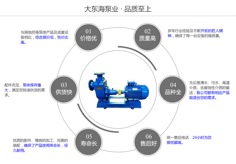 大东海泵业无堵塞自吸式排污泵质量保证图